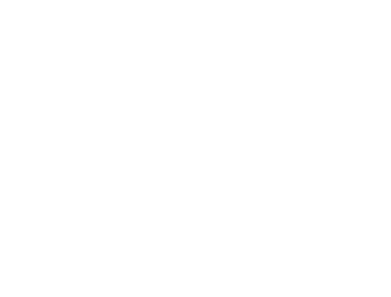 A circular logo with a willow branch to the right of the circle showcasing five leaves with the words “ Blue Willow Bookshop” justified to the left side of the circle in all white.